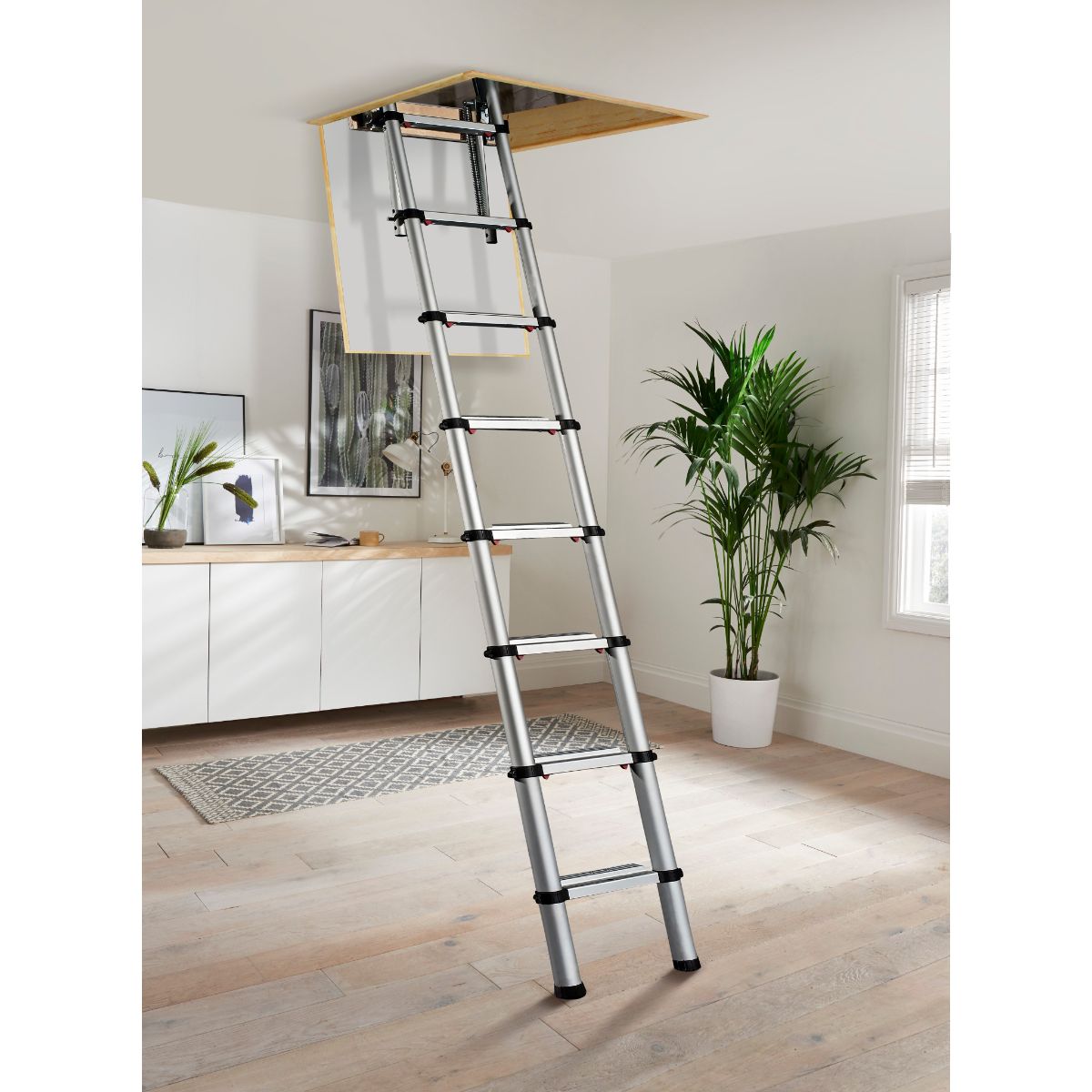 Loft Hatch With Ladder - product image