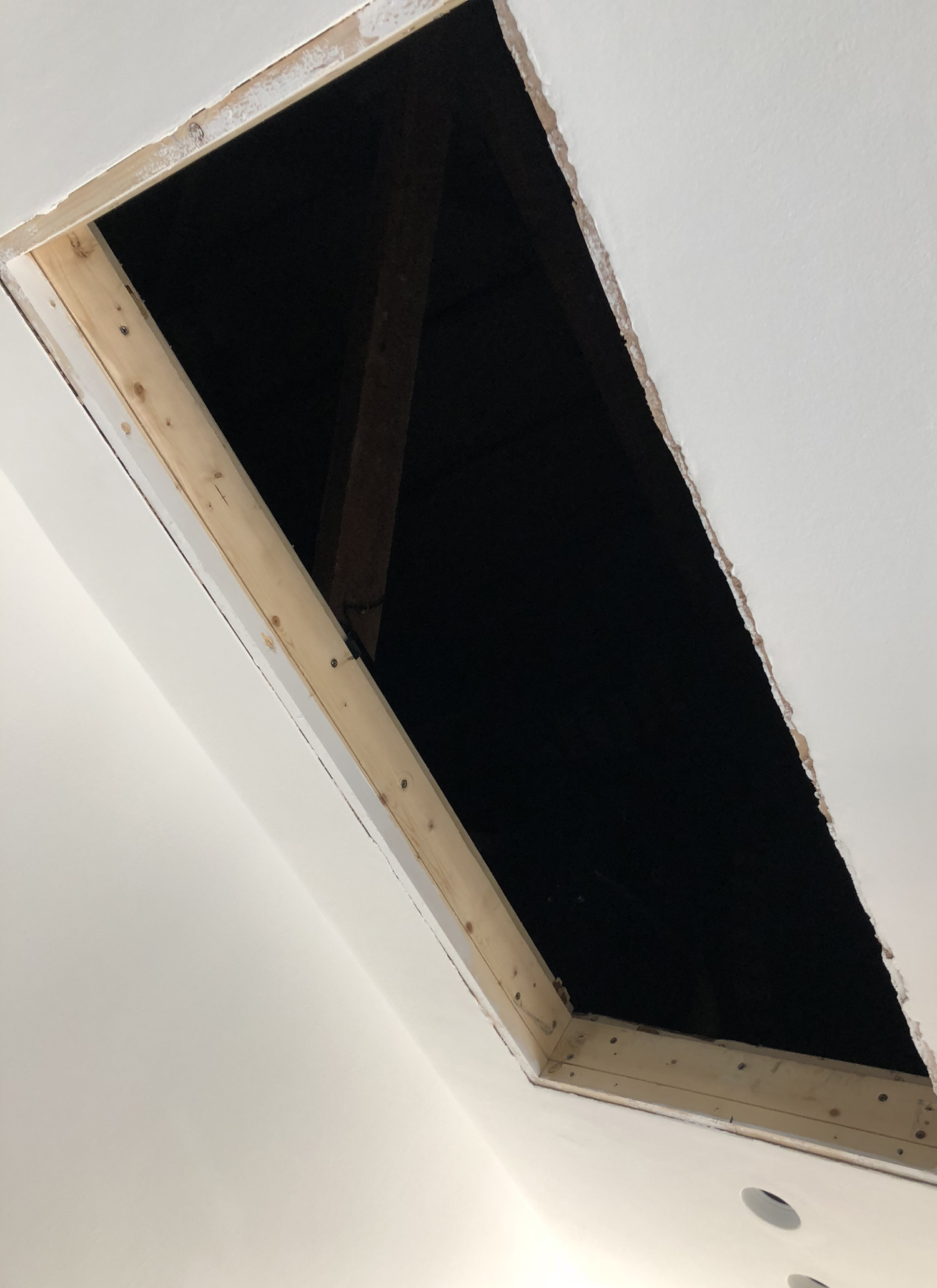 Loft Hatch With Ladder - product image
